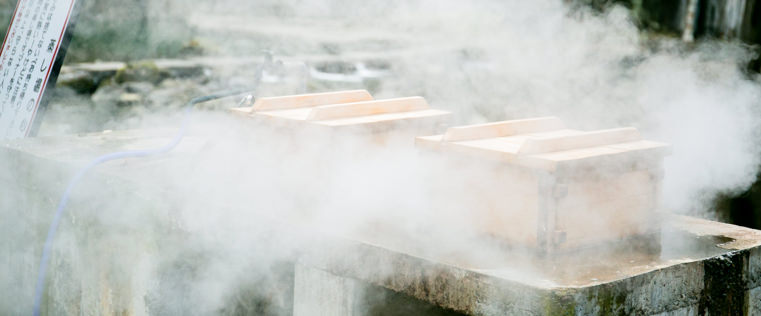 甘玉子から生まれたプリン伝説