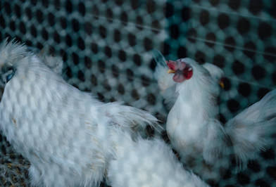 杖立温泉 観光スポット9